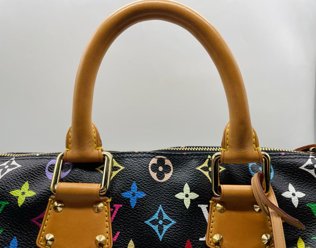 LOUIS VUITTON Speedy 30 Takashi Murakami Handbag