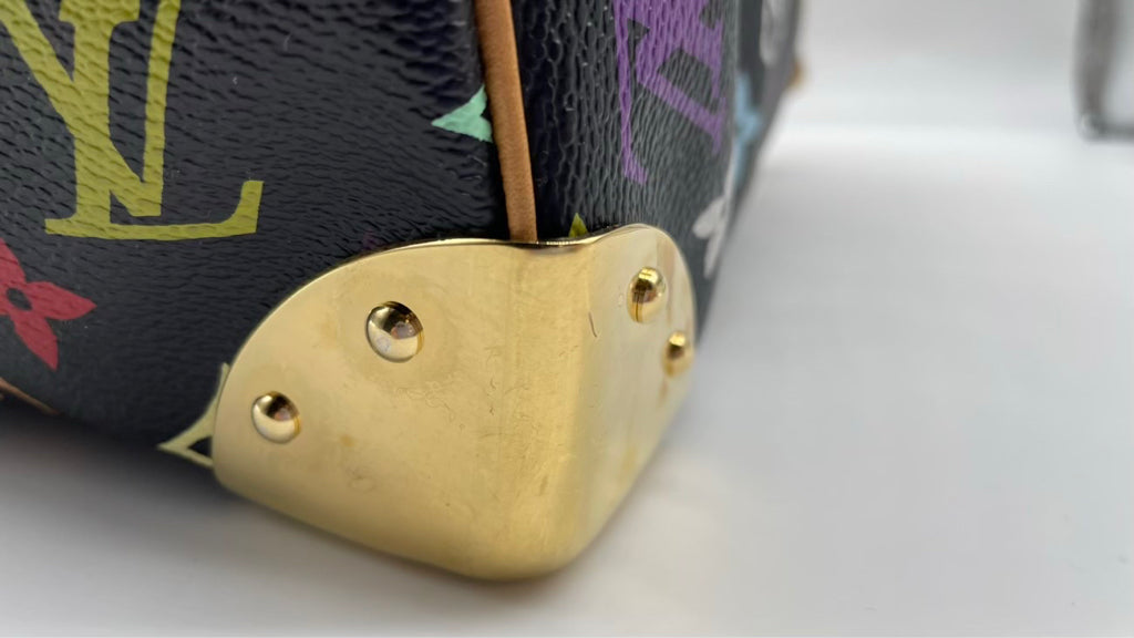 LOUIS VUITTON Speedy 30 Takashi Murakami Handbag