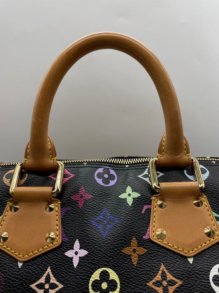 LOUIS VUITTON Speedy 30 Takashi Murakami Handbag
