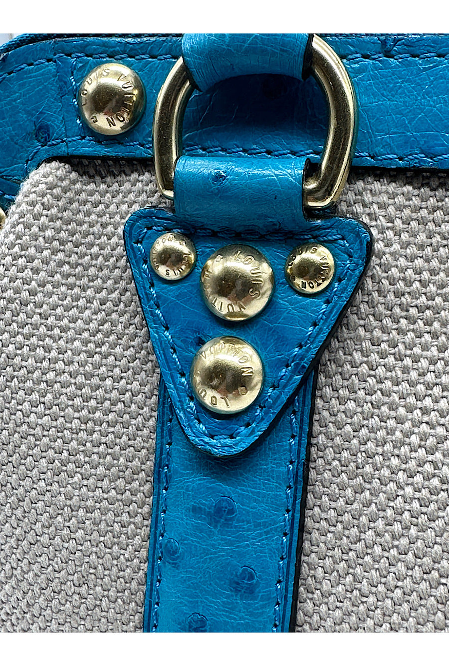 Limited Edition Louis Vuitton Leather Handbag Luxury Brand Kin – Toren Store